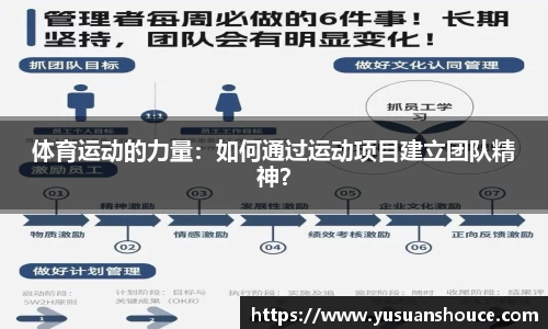 体育运动的力量：如何通过运动项目建立团队精神？